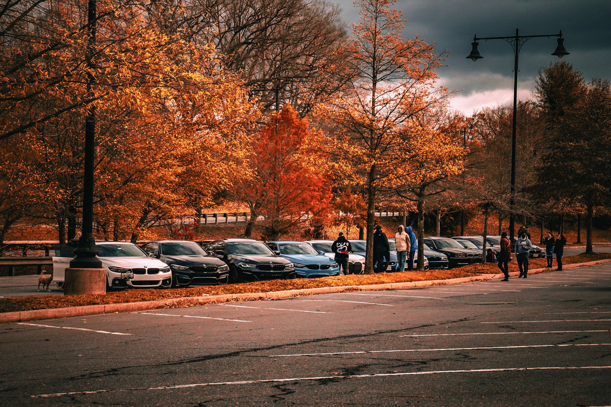 BMW lineup on a street